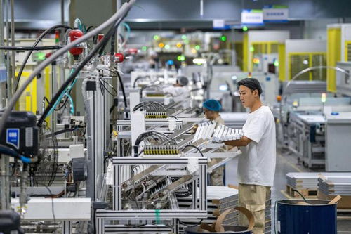 第四季度經(jīng)濟(jì)金融展望 技術(shù)服務(wù)驅(qū)動(dòng)恢復(fù)向好趨勢(shì)不變